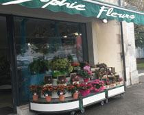 Fleuriste Interflora Angoulme